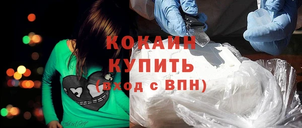 шишки Аркадак