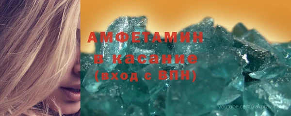 шишки Аркадак