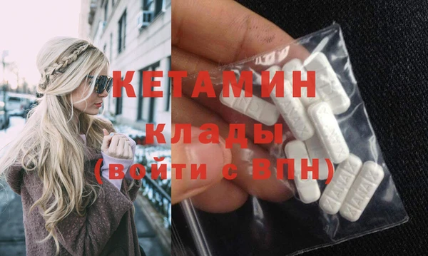 шишки Аркадак