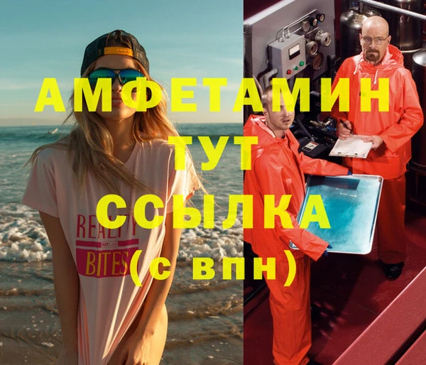 шишки Аркадак