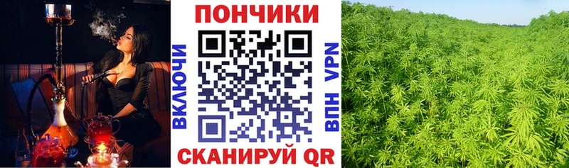 где купить наркотик  Борисоглебск  OMG ссылки  мориарти формула  Конопля индика 